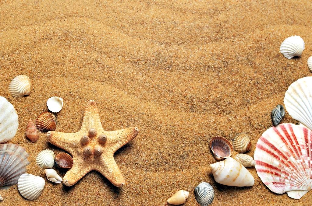Family enjoying a sunny beach vacation with palm trees