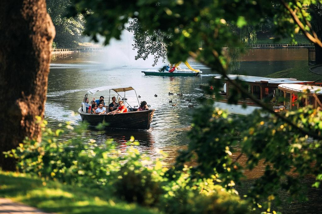 Customer satisfaction award emblem with 5-star rating